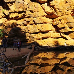 reflections at John Hayes Rockhole in East Macdonnells