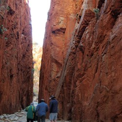 Stanley Chasm close to midday 