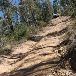 Kings Plain Tk - Vic High Country