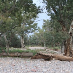 Creek crossing - Blinman