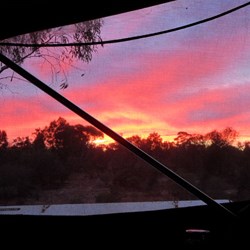 Looking through the flyscreen.