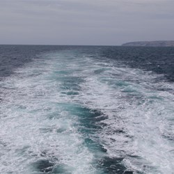 Farewell Mainland South Australia