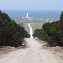 The Main Cape Willoughby to Penneshaw Road