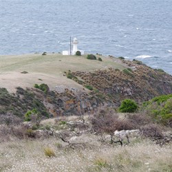 We had prior permission to travel out to Cape St Albans Lighthouse