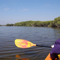 Kayaking on the Chapman River was the best that we have ever paddled