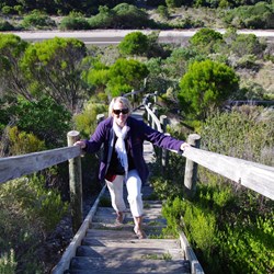 522 steps to the top of Prospect Hill and counting.....