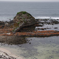Tadpole Rock - D'Estrees Bay