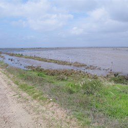 110mm of Rain the previous night and evrything was under water