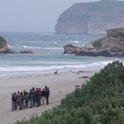 Beach accees is strictly small groups and with National Parks Officer