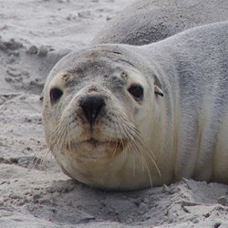 What are you looking at