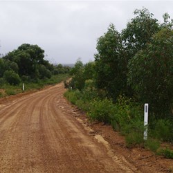 Shackle Road to Cape Borda