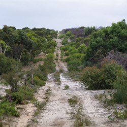 Track towards the Degree Confluence