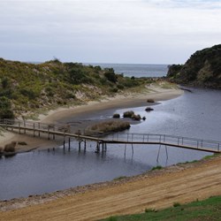 Western River Cove camping area