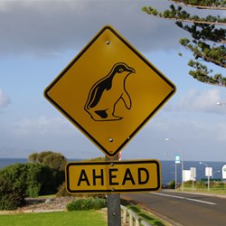 Not your average road sign - Penneshaw