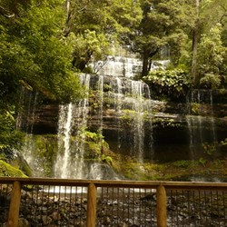Russell Falls - Mt Field NP