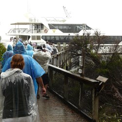 It rained all day but we didn't mind