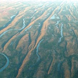 Eyre Creek & Simpson Flooding