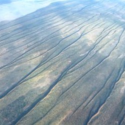 Southern Simpson Desert
