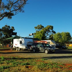 free camp at Tullabigeal NSW