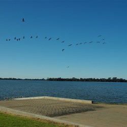 Lake Cargelligo NSW