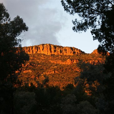 Wilpena Pound