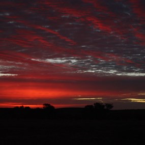 Sunrise at Anna Creek
