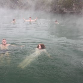 The snow monkies of Dalhousie