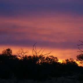 Sunrise at Duff Creek