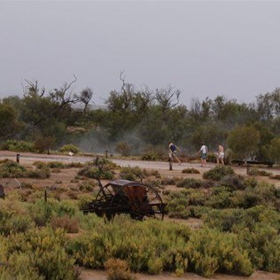 Misty mound springs of Dalhousie