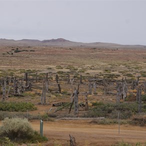 Dalhousie stock yards