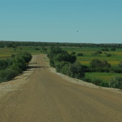 patch of green near Bedourie