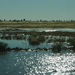 water beside the road