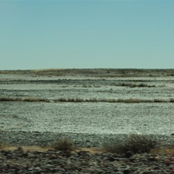 landscape near the road