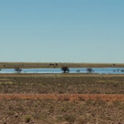 patch of water beside the road