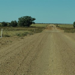 road sign for the emus?