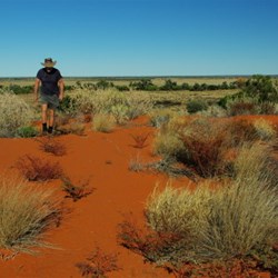 John atop a red sand dune west of Windorah