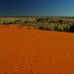 red sand dune