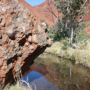 One of the pools between the two lookouts - Kata Juta (The Olgas)