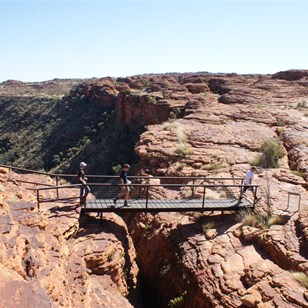 The Bridge at Cotterills Lookout