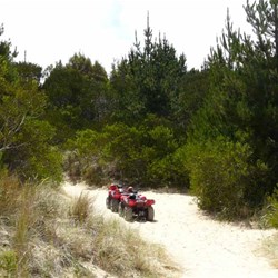 Dune buggies  
