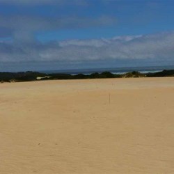 The view to the ocean