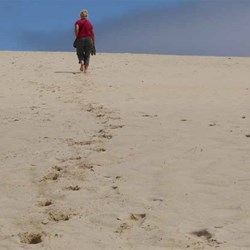 It was a long, steep walk to the top