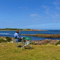 Chicka never stops working 