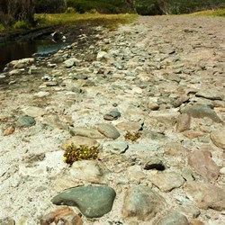 Track conditions along the coast