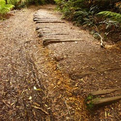 North East Dundas Railway track