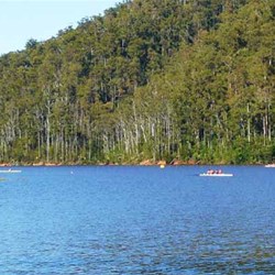 Lake Barrington Internation Rowing Course
