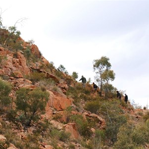 Climbing the Lookout at Gosses Bluff