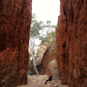 Hugh absorbing the splendor of Standley Chasm