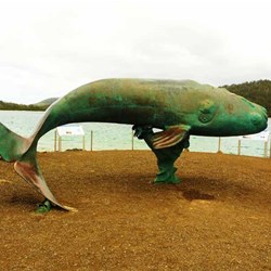 Bronze whale statue