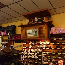 The flying fox still in working order